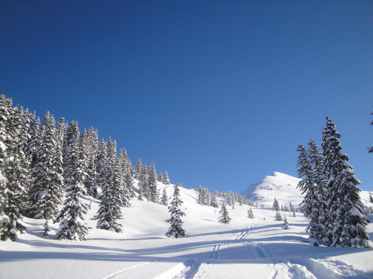 Apart Timeout Hart im Zillertal Dış mekan fotoğraf